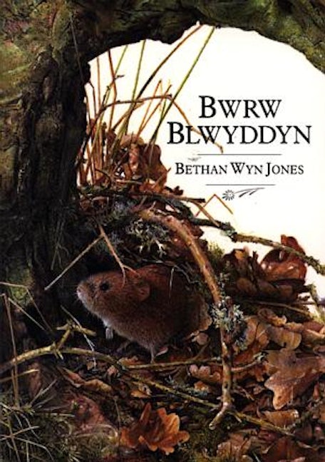 Cover image for Bwrw Blwyddyn, isbn: 9780860741411