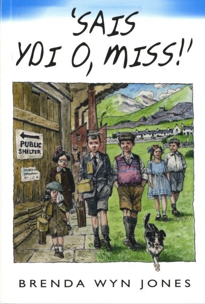 Cover image for Sais Ydi O, Miss!, isbn: 9780860741664