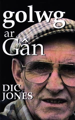 Cover image for Golwg ar Gân, isbn: 9780860741909