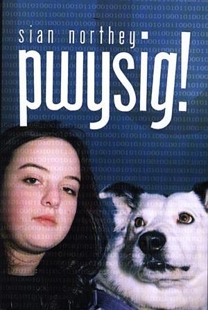 Cover image for Pwysig!, isbn: 9780860742128