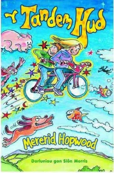 Cover image for Tandem Hud, Y, isbn: 9780860742340
