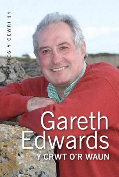 Cover image for Cyfres y Cewri: 31. Y Crwt o'r Waun, isbn: 9780860742425