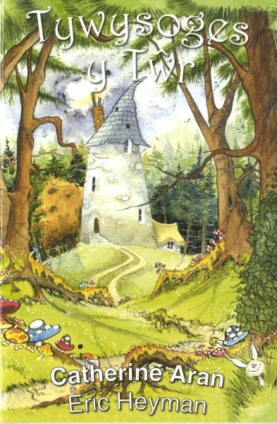 Cover image for Tywysoges y Tŵr, isbn: 9780860742463