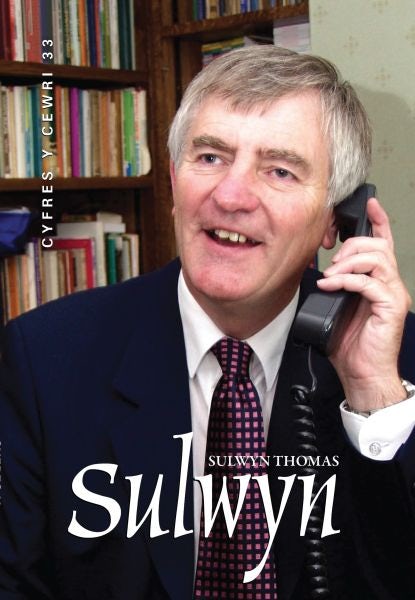 Cover image for Cyfres y Cewri: 33. Sulwyn, isbn: 9780860742524