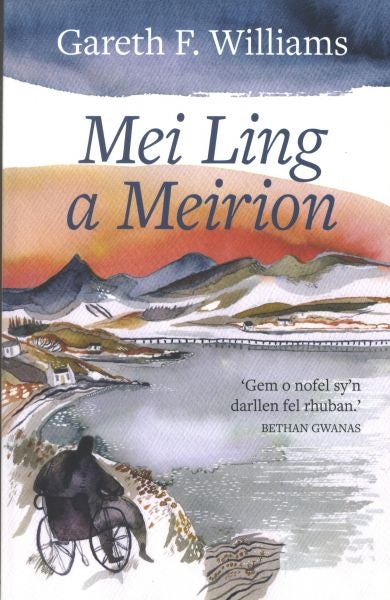 Cover image for Mei Ling a Meirion, isbn: 9780860742623