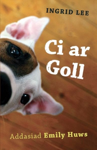 Cover image for Ci ar Goll, isbn: 9780860742692