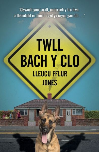 Cover image for Twll Bach y Clo, isbn: 9780860742906