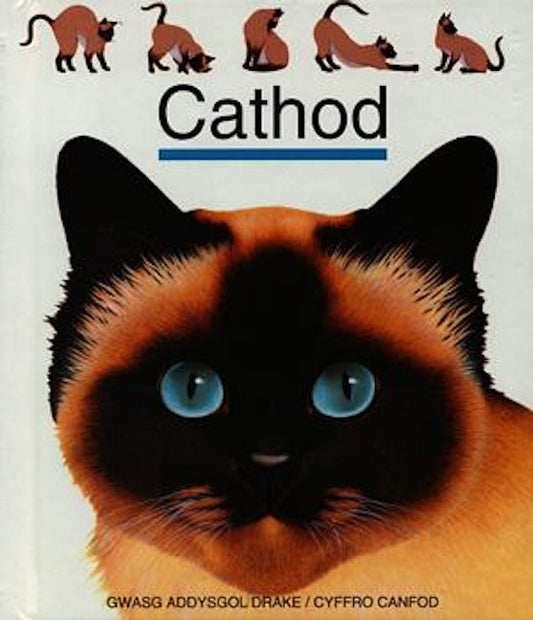 Cover image for Cyfres Cyffro Canfod: Cathod, isbn: 9780861740079