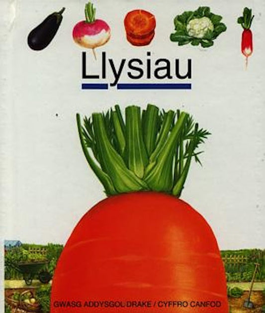 Cover image for Cyfres Cyffro Canfod: Llysiau, isbn: 9780861740123