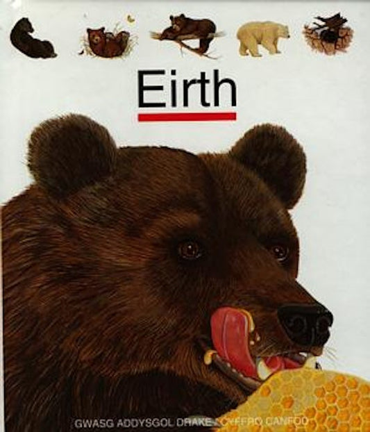 Cover image for Cyfres Cyffro Canfod: Eirth, isbn: 9780861740284