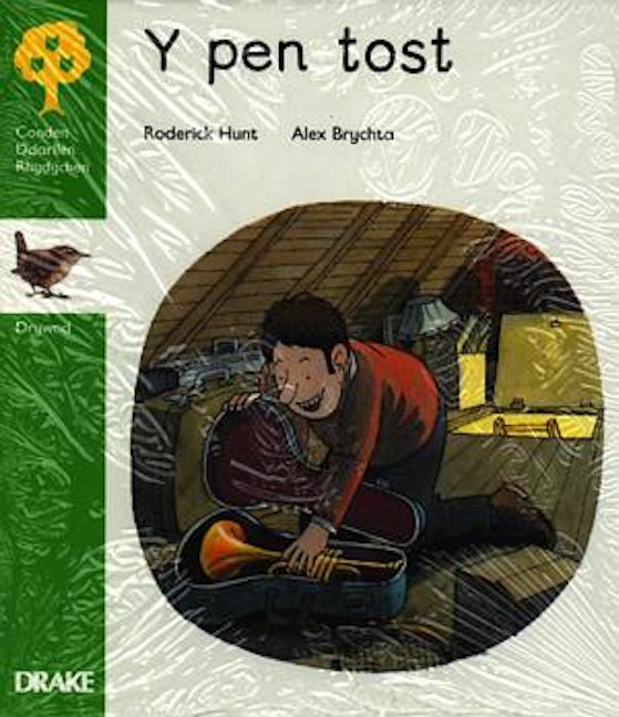 Cover image for Coeden Ddarllen Rhydychen: Cam 2 - Drywod (Pecyn), isbn: 9780861742172