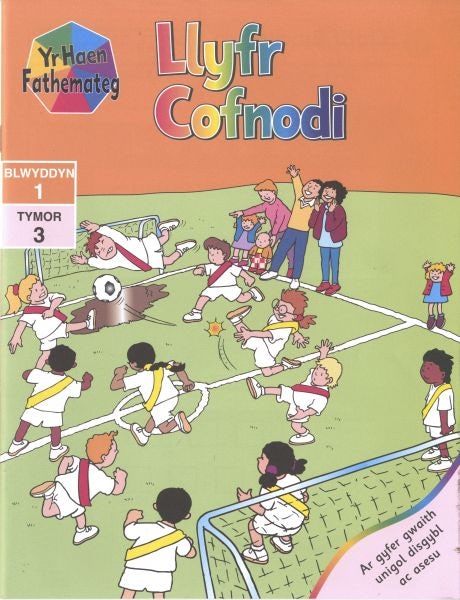 Cover image for Haen Fathemateg, Yr: Blwyddyn 1, Tymor 3 - Llyfr Cofnodi, isbn: 9780861744220