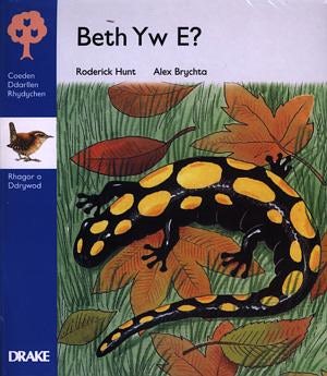 Cover image for Coeden Ddarllen Rhydychen: Cam 3 - Rhagor o Ddrywod (Pecyn), isbn: 9780861746071