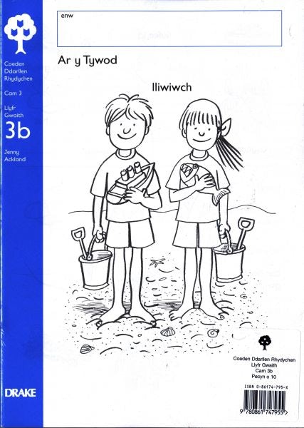 Cover image for Coeden Ddarllen Rhydychen: Cam 3 - Llyfr Gwaith 3B (Pecyn), isbn: 9780861747955