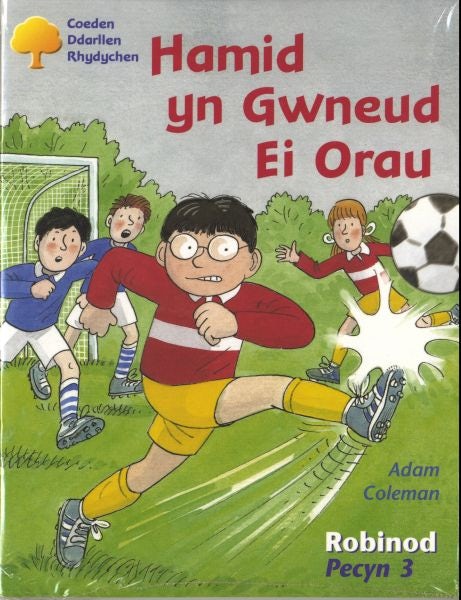 Cover image for Coeden Ddarllen Rhydychen: Cam 6 - Robinod Pecyn 3, isbn: 9780861748655