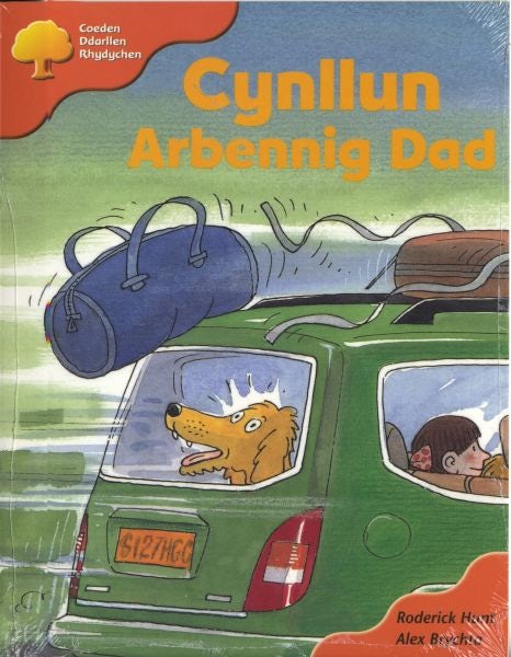 Cover image for Coeden Ddarllen Rhydychen: Cam 6 - Rhagor o Dylluanod (Pecyn B), isbn: 9780861748686