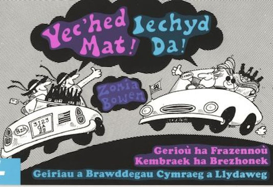 Cover image for Yec'hed Da! Gerioù Ha Frazennoù Kembraek Ha Brezhonek / Iechyd Da! Geiriau a Brawddegu Cymraeg a Llydaweg, isbn: 9780862430023