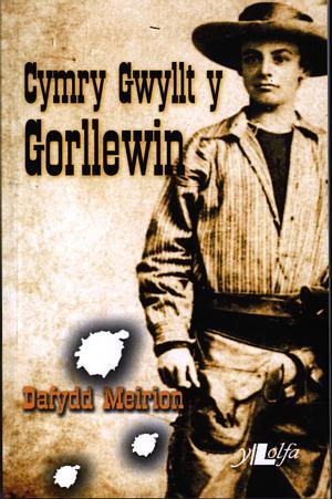 Cover image for Cymry Gwyllt y Gorllewin, isbn: 9780862436230