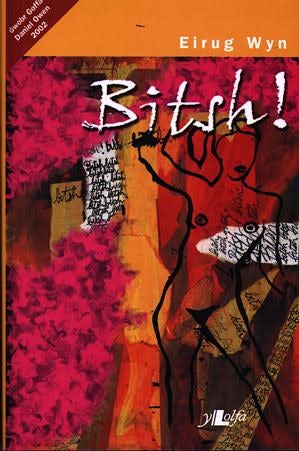 Cover image for Bitsh! - Gwobr Goffa Daniel Owen 2002, isbn: 9780862436445