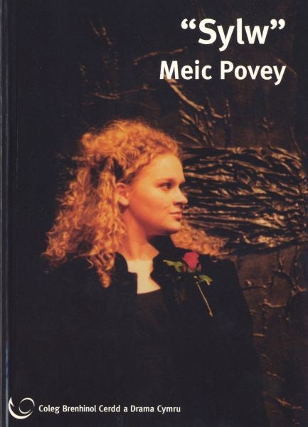 Cover image for Sylw, isbn: 9780862436452