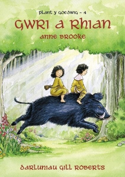 Cover image for Cyfres Plant y Goedwig: 4. Gwri a Rhian, isbn: 9780862439750
