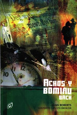 Cover image for Cyfres Dal y Gannwyll: Achos y Bomiau Bach, isbn: 9780863816741