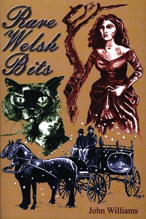 Cover image for Rare Welsh Bits, isbn: 9780863817007