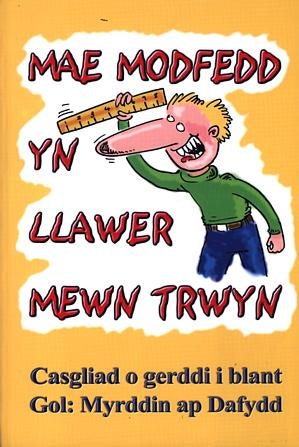 Cover image for Mae Modfedd yn Llawer Mewn Trwyn, isbn: 9780863818578