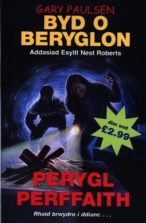 Cover image for Byd o Beryglon: 8. Perygl Perffaith, isbn: 9780863818660