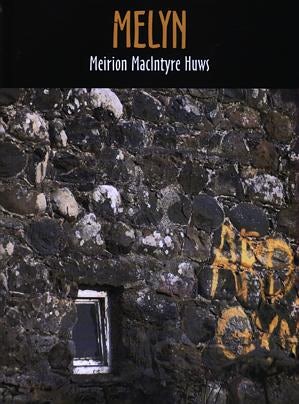 Cover image for Melyn, isbn: 9780863819179