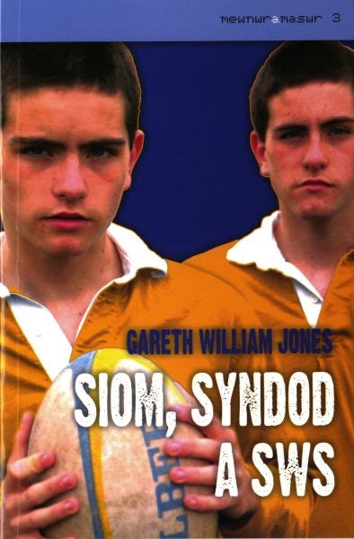 Cover image for Mewnwr a Maswr: 3. Siom, Syndod a Sws, isbn: 9780863819919