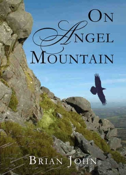 Cover image for On Angel Mountain, isbn: 9780905559803