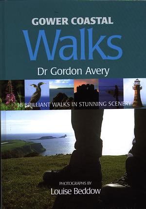 Cover image for Gower Coastal Walks - 16 Brilliant Walks in Stunning Scenery, isbn: 9780953203864