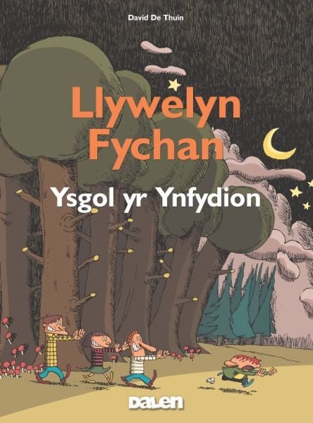 Cover image for Llywelyn Fychan: Ysgol yr Ynfydion, isbn: 9780955136627