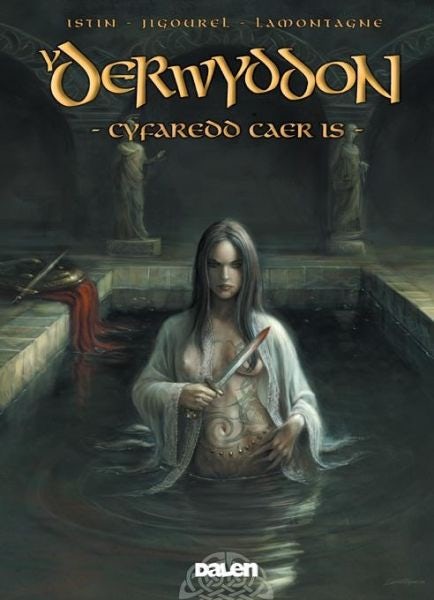 Cover image for Derwyddon, Y: Cyfaredd Caer Is, isbn: 9780955136689
