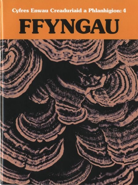 Cover image for Cyfres Enwau Creaduriaid a Phlanhigion: 4 Ffyngau, isbn: 9780957303348