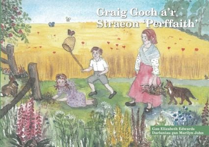 Cover image for Graig Goch a'r Straeon 'Perffaith', isbn: 9780993164514