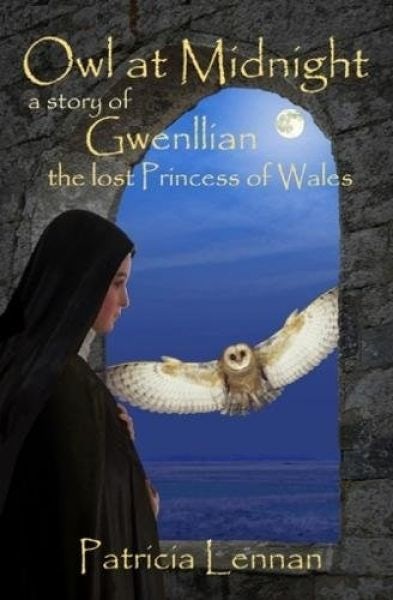 Cover image for Owl at Midnight - A Story of Gwenllian the Lost Princess of Wales, isbn: 9780993507830