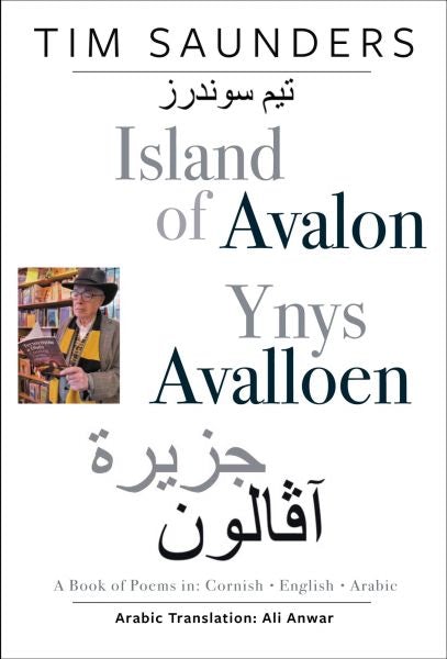 Cover image for Island of Avalon / Ynys Avalloen, isbn: 9781068298752