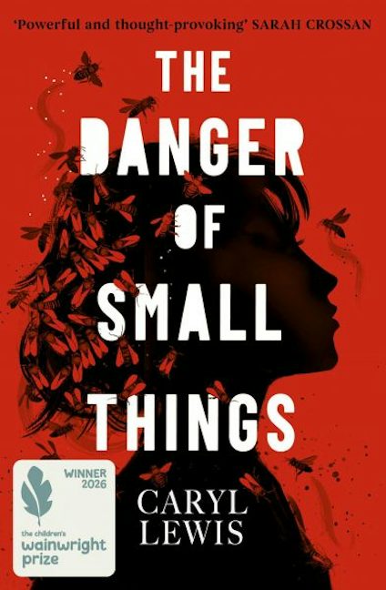 Cover image for The Danger of Small Things, isbn: 9781398549296