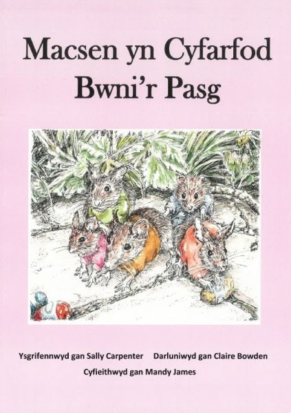 Cover image for Macsen yn Cyfarfod Bwni'r Pasg, isbn: 9781399980678
