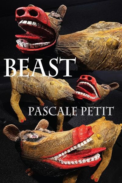 Cover image for Beast, isbn: 9781780377377