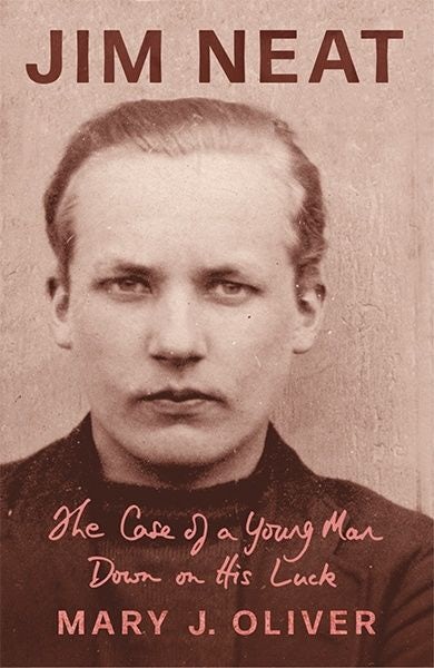 Cover image for Jim Neat - The Case of a Young Man Down on his Luck, isbn: 9781781725146