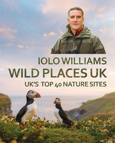 Cover image for Wild Places Uk - The Top 40 Sites, isbn: 9781781725214
