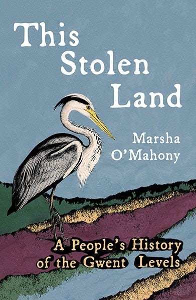 Cover image for This Stolen Land - A People's History of the Gwent Levels, isbn: 9781781727645