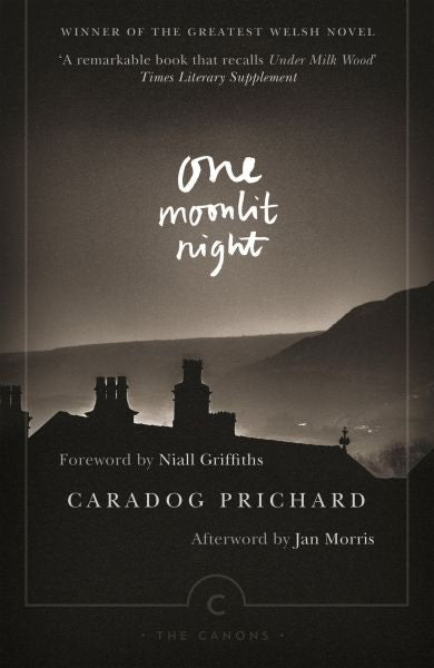 Cover image for One Moonlit Night, isbn: 9781782116769