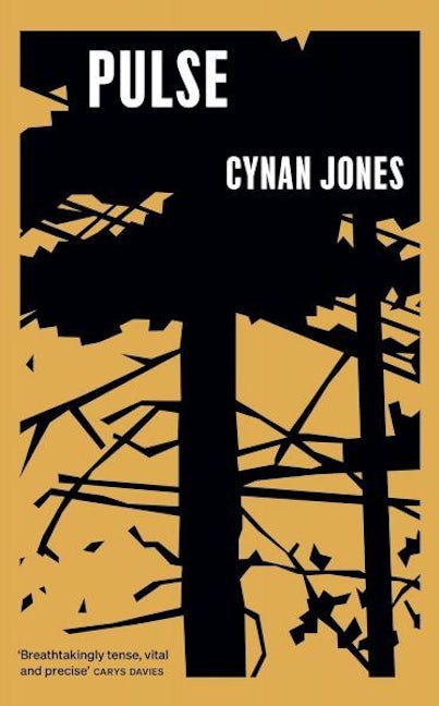 Cover image for Pulse, isbn: 9781783788200