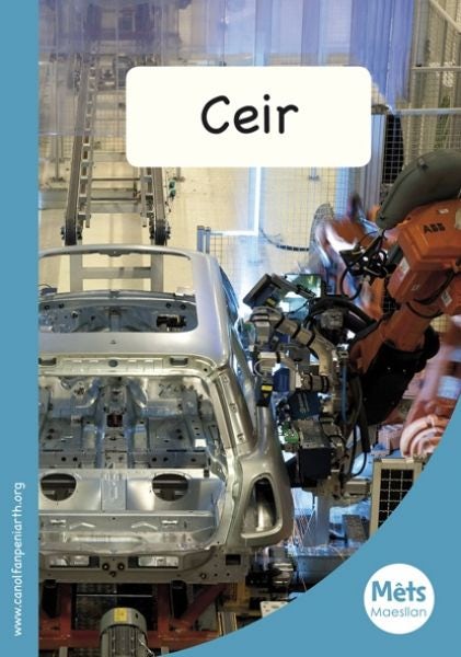 Cover image for Mêts Maesllan: Ceir, isbn: 9781783900268