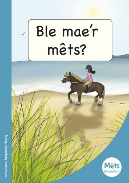 Cover image for Mêts Maesllan: Ble Mae'r Mêts?, isbn: 9781783900275