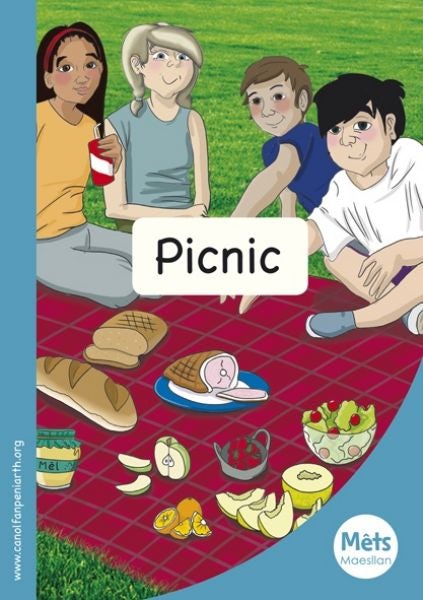 Cover image for Mêts Maesllan: Picnic, isbn: 9781783900282